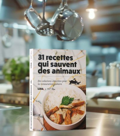 Projet 1
