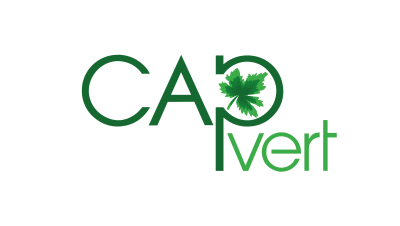Groupe Cap Vert