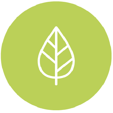 Environnement & Cadre de vie
