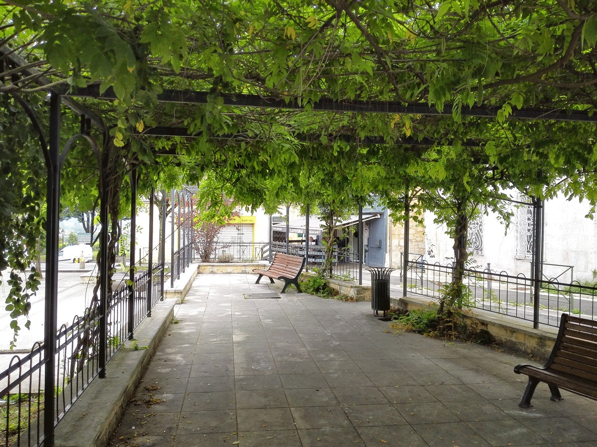 Pergola-glycine-Place-du-Palet