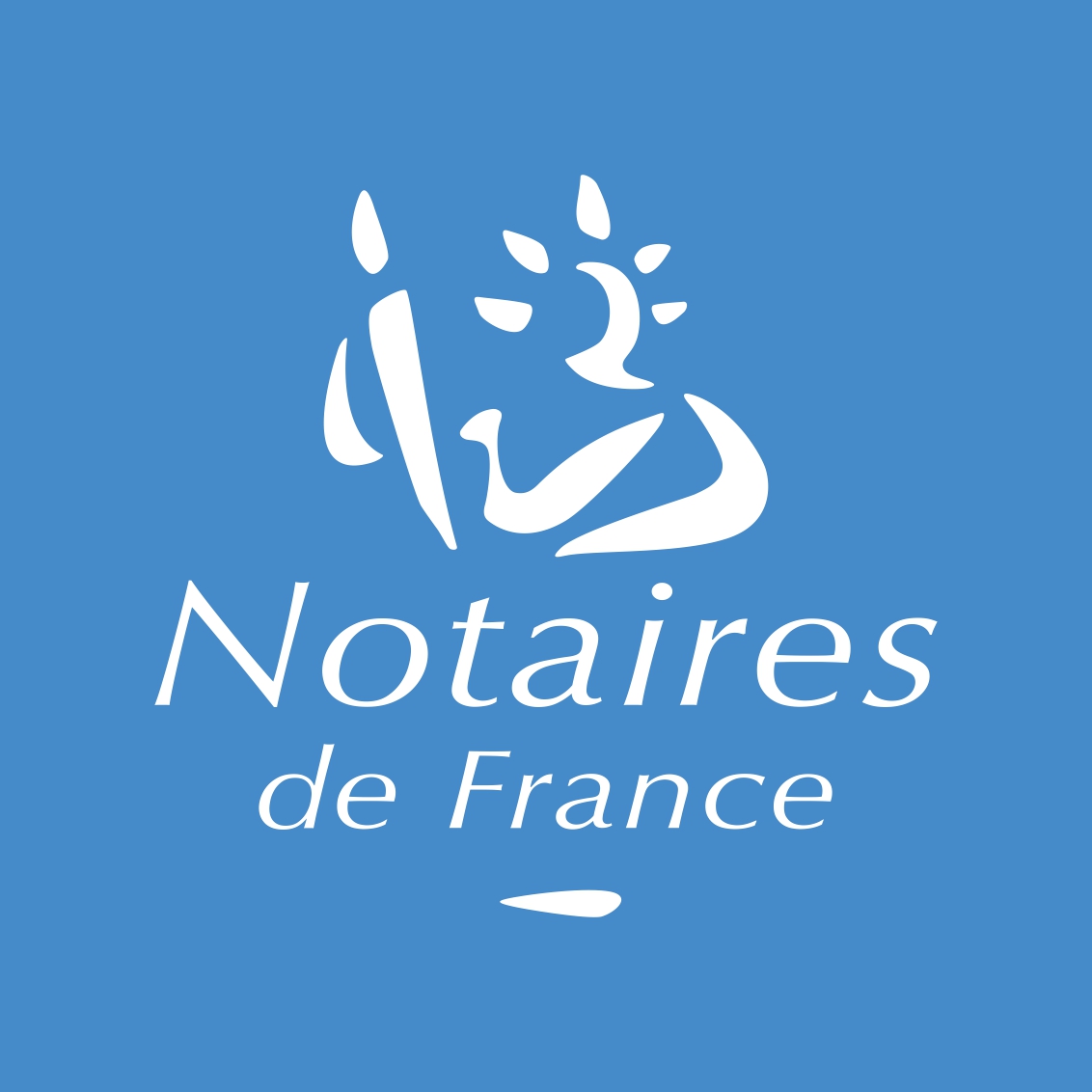 CONSEIL-SUPERIEUR-DU-NOTARIAT-NOTAIRES-DE-FRANCE