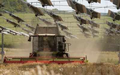 Se lancer dans l’agrivoltaïsme en grandes cultures : un livre blanc par TSE