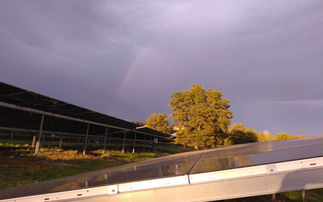 Zones d’accélération et espaces ruraux : Accompagner les élus locaux dans l’intégration de l’énergie solaire dans leur commune