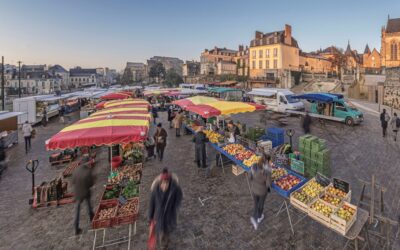 Aider les territoires à se décarboner. D’accord, mais comment ?