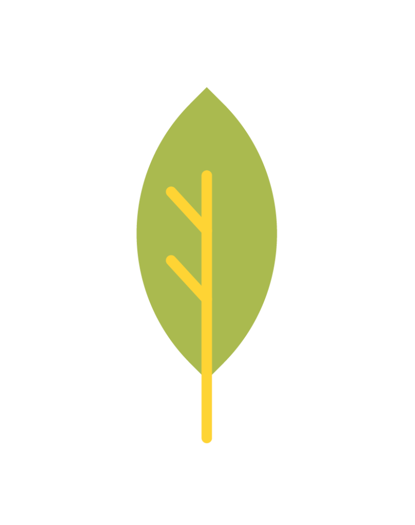Environnement & Cadre de vie