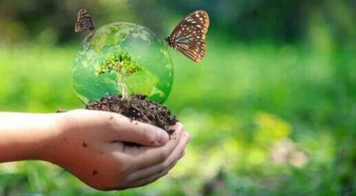 biodiversité 2