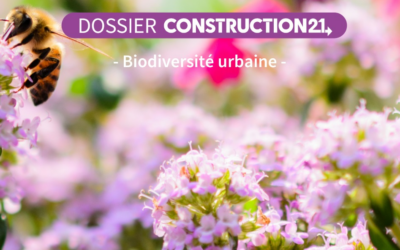 Comment habiter la nature ?