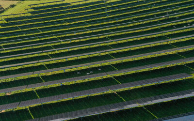 Photosol présente ses solutions photovoltaïques à destination des collectivités pour les accompagner dans leur transition énergétique.
