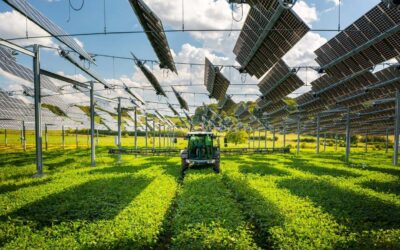 TSE, L’énergie au service de l’agriculture et des territoires