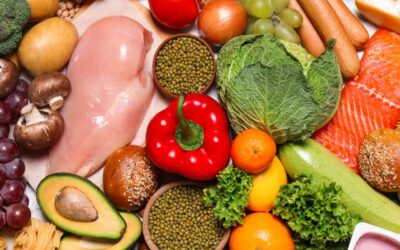 Agrosolutions accompagne les collectivités territoriales vers la résilience alimentaire