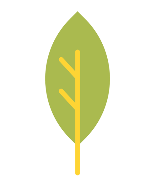 1Environnement-�-Cadre-de-vie Environnement & Cadre de vie