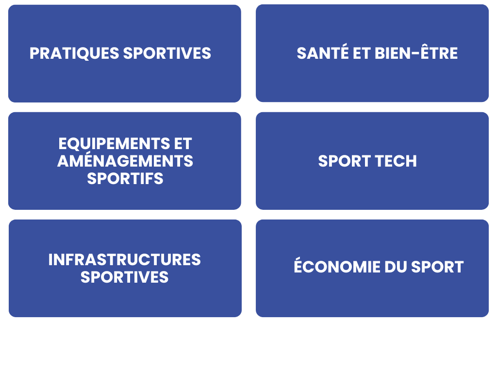 Copie de Graphique Infographie Stratégie Commerciale Moderne Illustré Blanc Gris Coloré (1) Nomenclature SDSP 2025