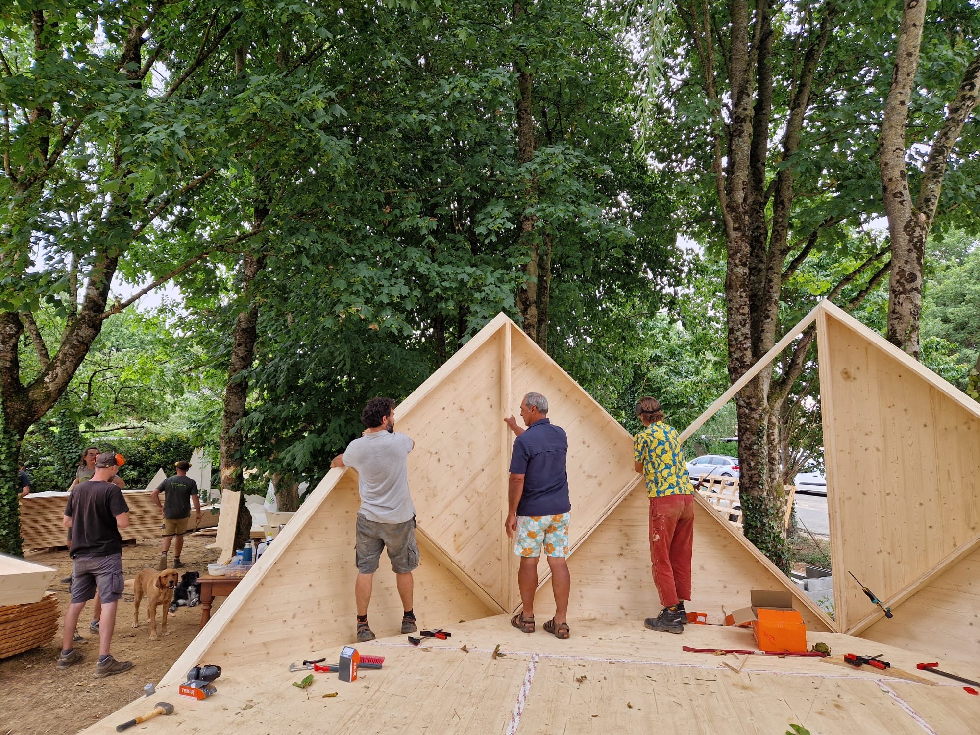 ACTION LOGEMENT - Appel paille