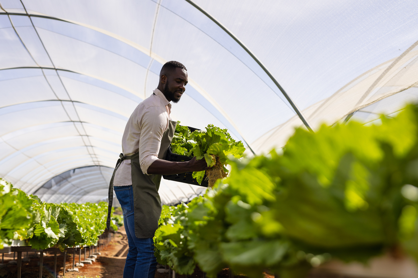Territoire productif et résilient
